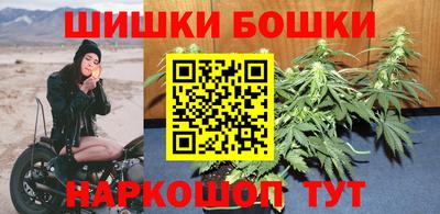 крисы Кунгур