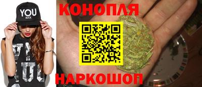 PSILOCYBIN Кулебаки