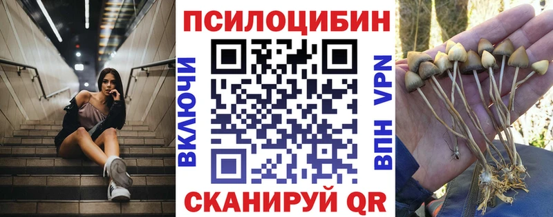купить наркотик  Касимов  МЕГА онион  Галлюциногенные грибы Psilocybe 